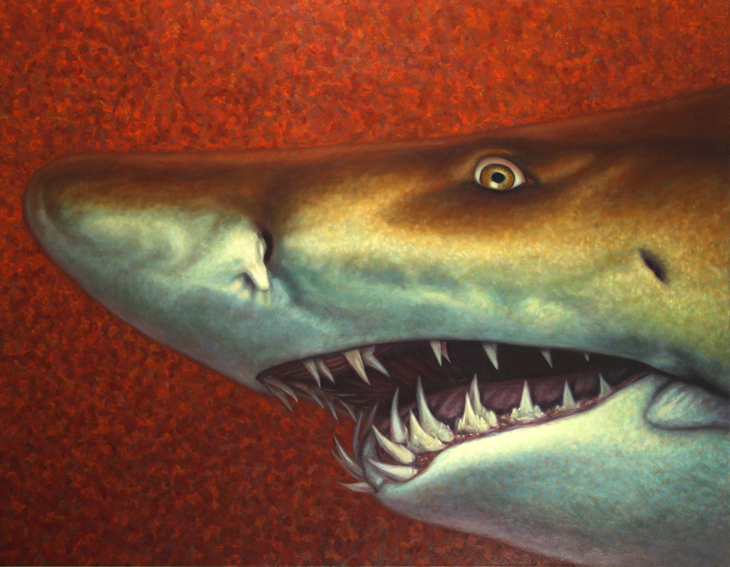 Red Sea Shark